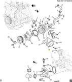 44003648