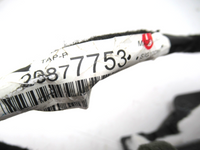 44720582