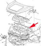 22760422 OEM Hood Lift Support Strut 2015-2017 GMC Acadia