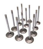 New 12 Intake & Exhaust Valve Standard with .341 Stem Diameter Ford 4.9L F6JL-AA