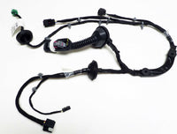 GM Wire Harness ASM-RR S/D WRG Comple Rear Right Passenger Side Wire Harness