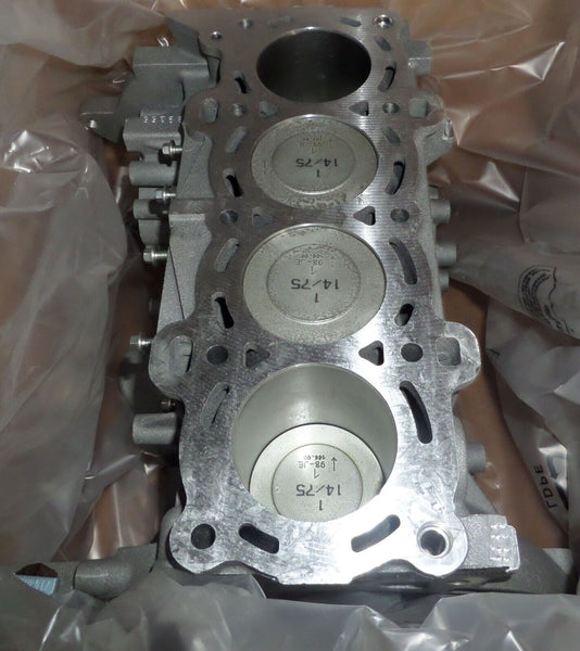4M5G-6015-JC New Ford Engine Short Block 1.4L L4 1999-2000 Ford Fiesta