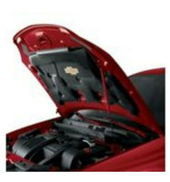 Hood Strut Factory Color Sport Red Fits Chevrolet Cobalt Pontiac G5