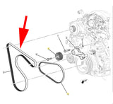 OEM New Engine Belt Primary Drive 2019 Chevrolet Silverado GMC Sierra 4.3L 5.3L
