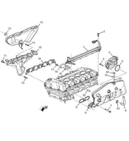 Fuel Rail Injectors Harnes 2002-09 Rainer Trailblazer Envoy Ascender Saab 9-7x