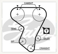 Timing belt gates t860 Holden Calibra 2.0L with turbo 141 theet width 24mm