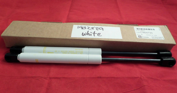 Genuine Rear Compartment Lid Struts White Fit: Chevrolet Cobal Pontia Pursuit G5